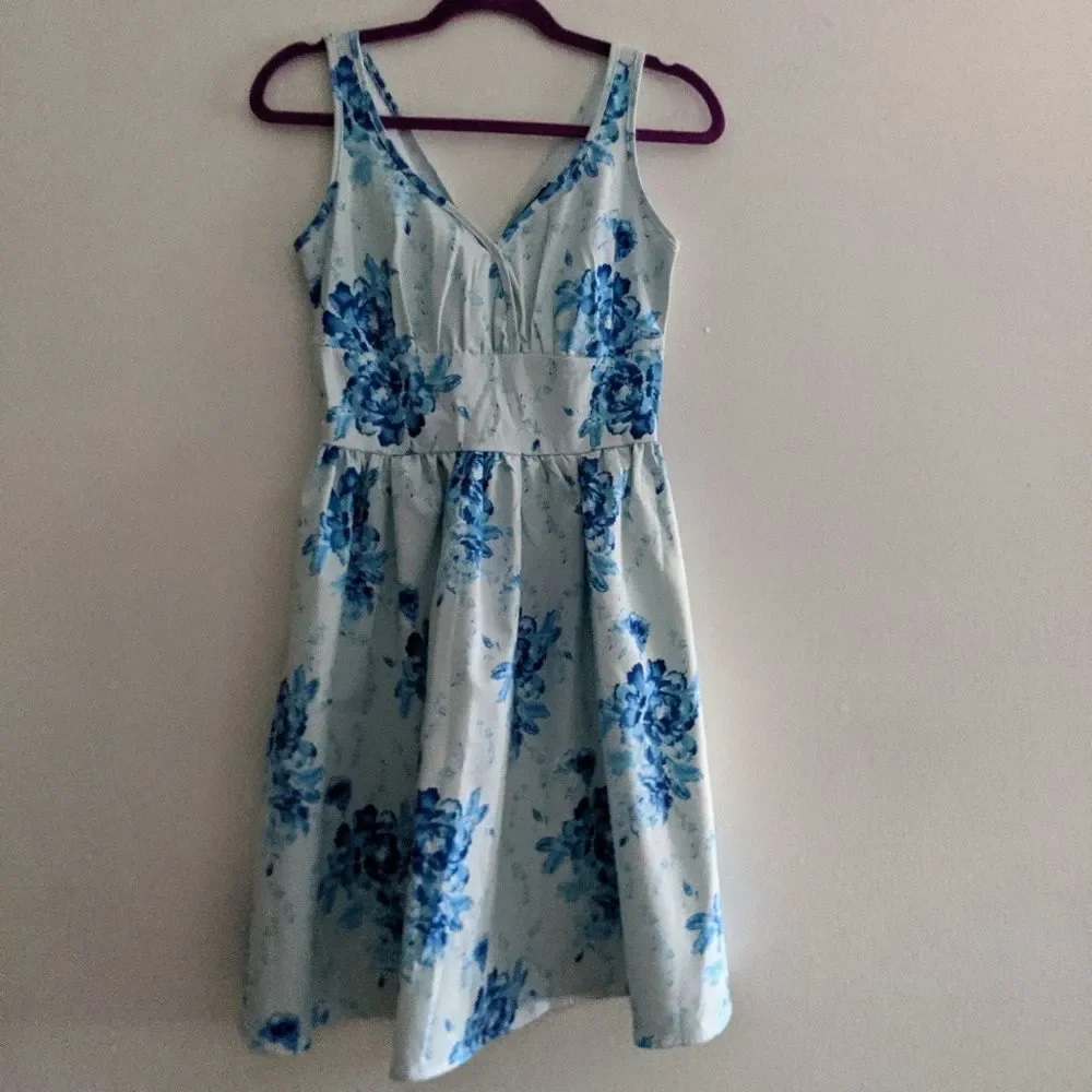 NWOT! Structured Retro Floral A-line Dress Sisjuly